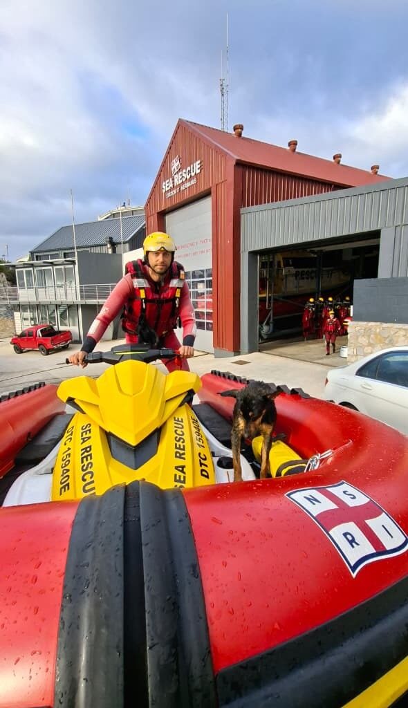 NSRI Hermanus Rescues Dog From Rocks, Appeals for Owner to…