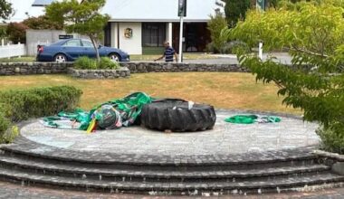Vandals destroy Featherston’s community Christmas tree