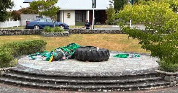 Vandals destroy Featherston’s community Christmas tree