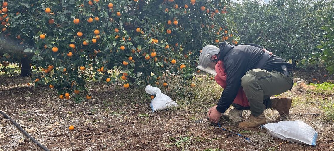 Landmine casualties hit four-year high as treaty setbacks deepen