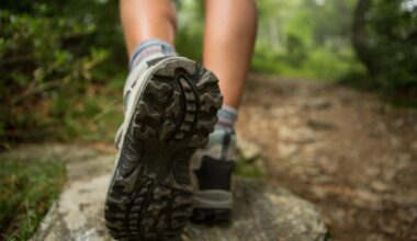 Tramper dies, another rescued on remote West Coast track