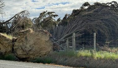Storm-damaged trees still causing havoc in South