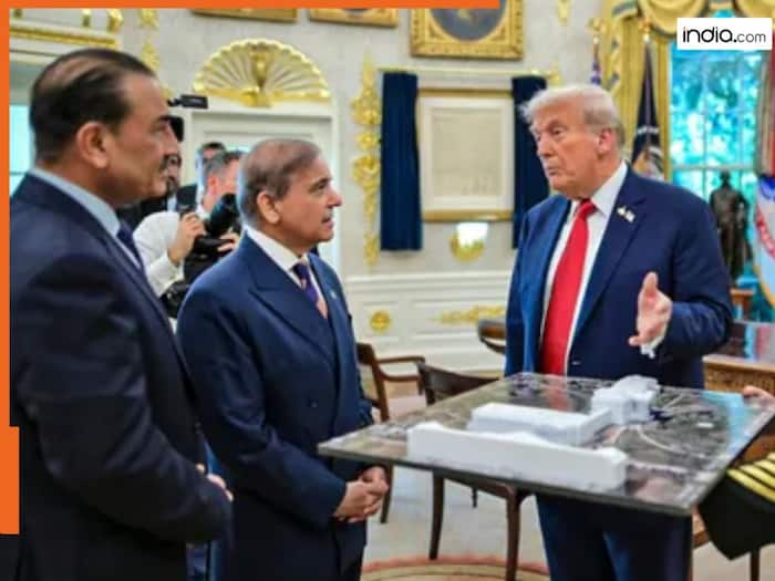 Trump praises Asim Munir for Gaza plan, says, 'Grateful to Pakistan as....', should India be worried?