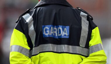 Uniformed gardaí could be armed with tasers as early as this week