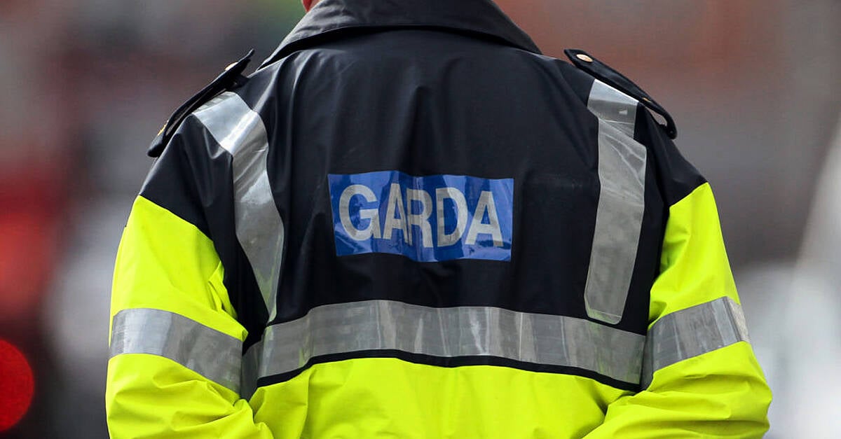 Uniformed gardaí could be armed with tasers as early as this week