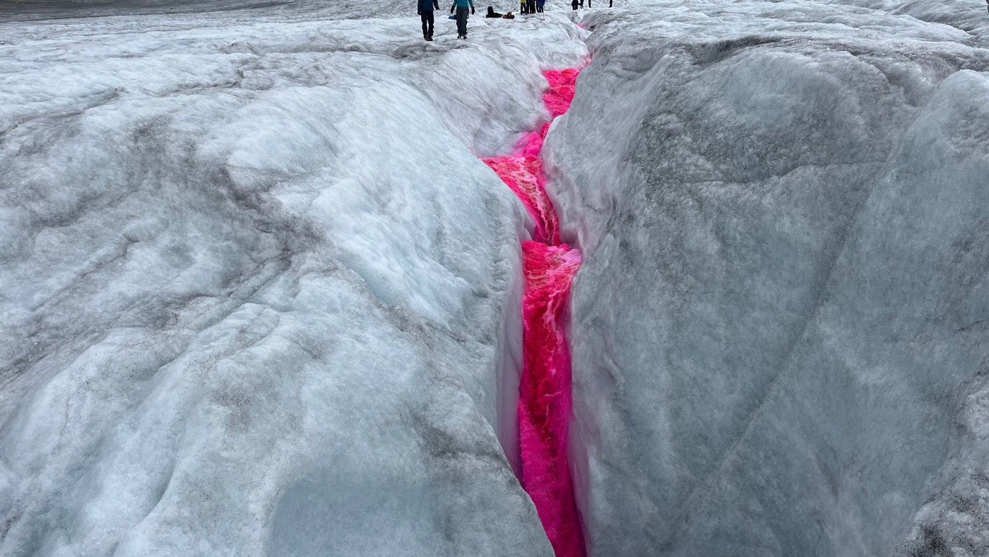 State of the World from NPR : NPR