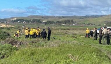 California swimmer believed to be victim of shark is found dead