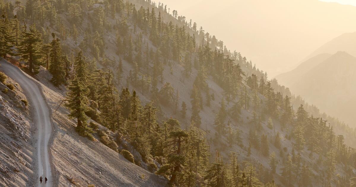 Bodies of three hikers recovered from Mt. Baldy amid harsh weather