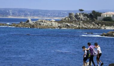 Shark attack feared after swimmer goes missing off Monterey Bay coast
