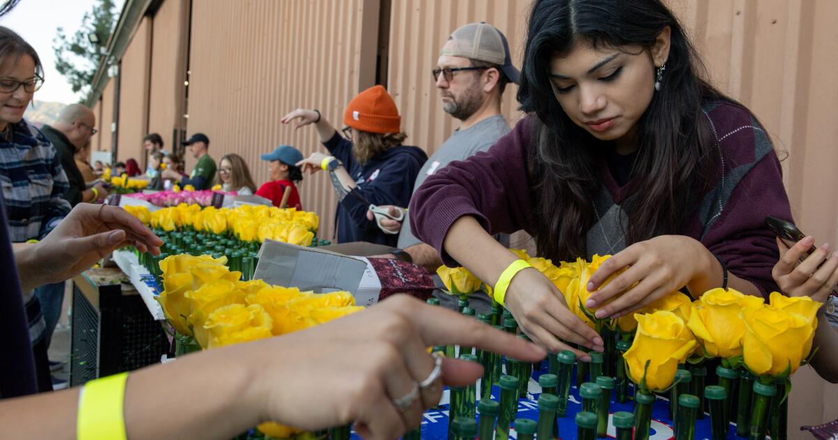 How the Rose Parade is responding to rain in forecast