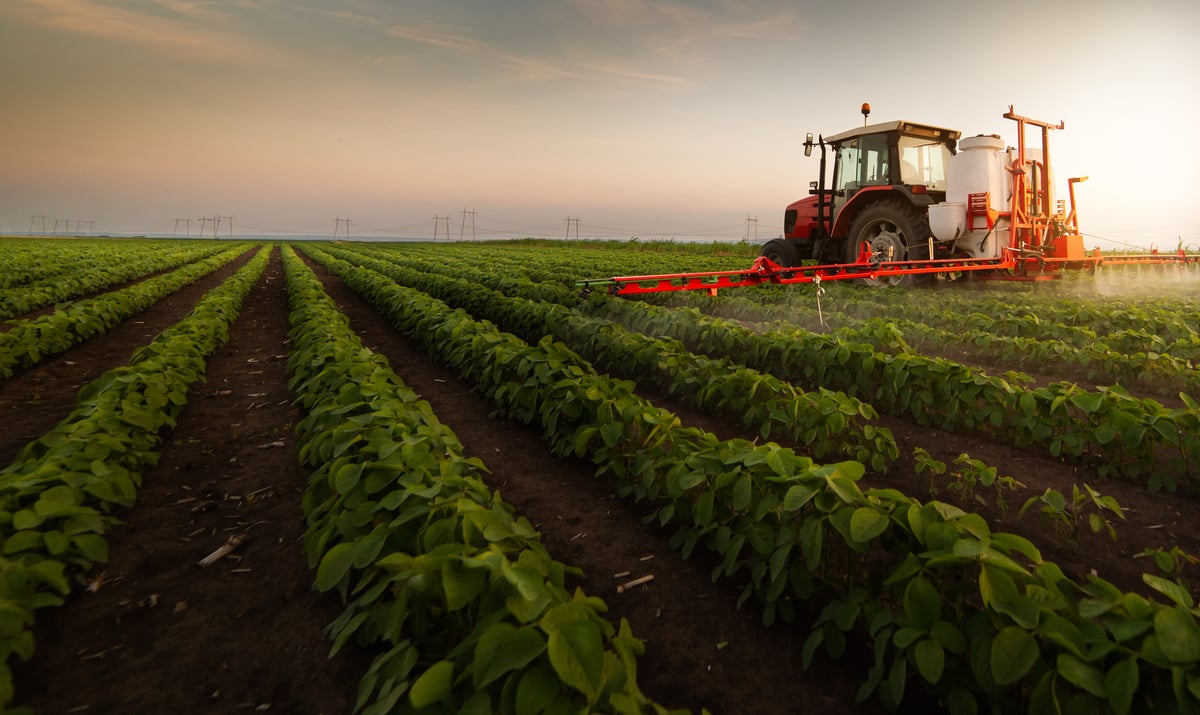 A large tractor harvests  leafy vegetables in an expansive field.
