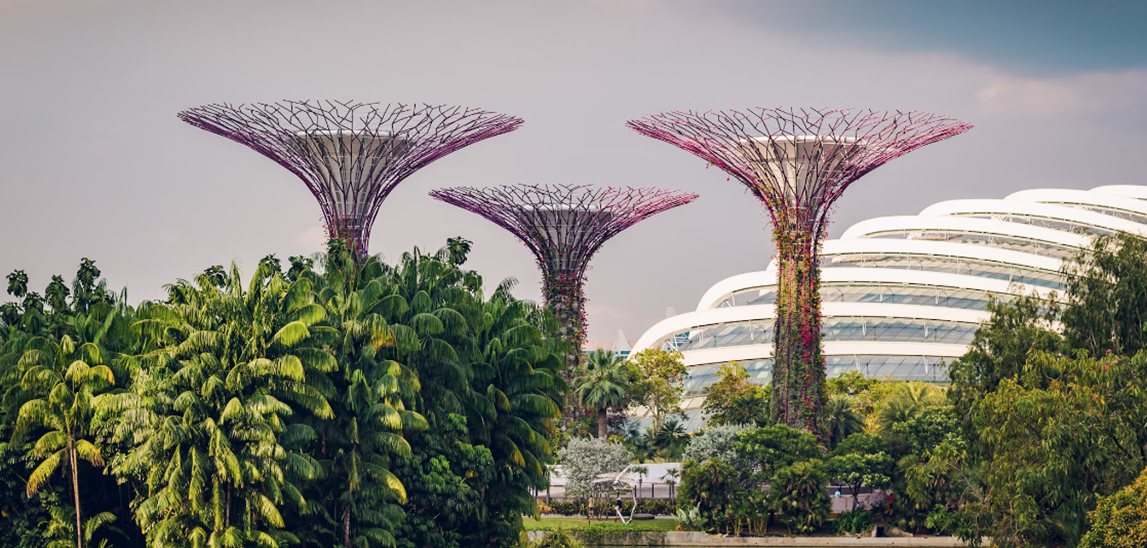 Weiyi Tan elected member of Association of Certified Fraud Examiners’ (ACFE) Board of Regents