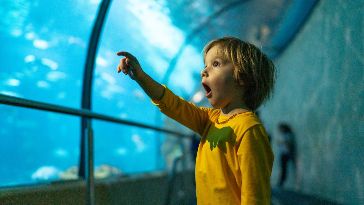 Why the First Day of Hanukkah Is a Miracle