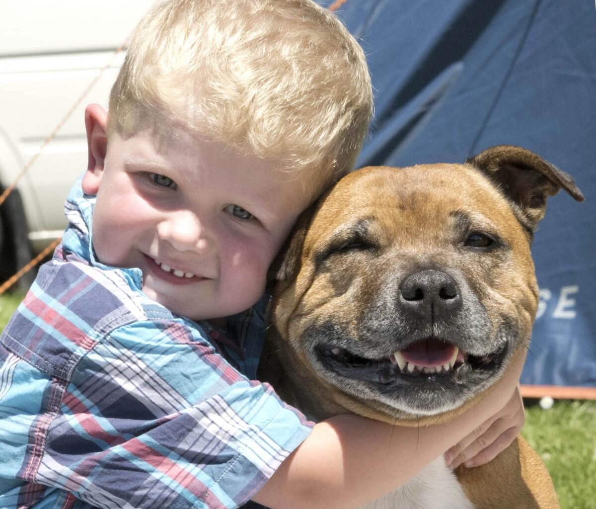 ‘Glamping’ at the races: taking in on-track action great cure for Christmas excess