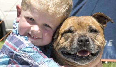 ‘Glamping’ at the races: taking in on-track action great cure for Christmas excess