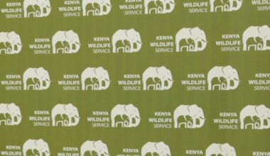 Kenyans protest after roaming elephants kill four people in a week