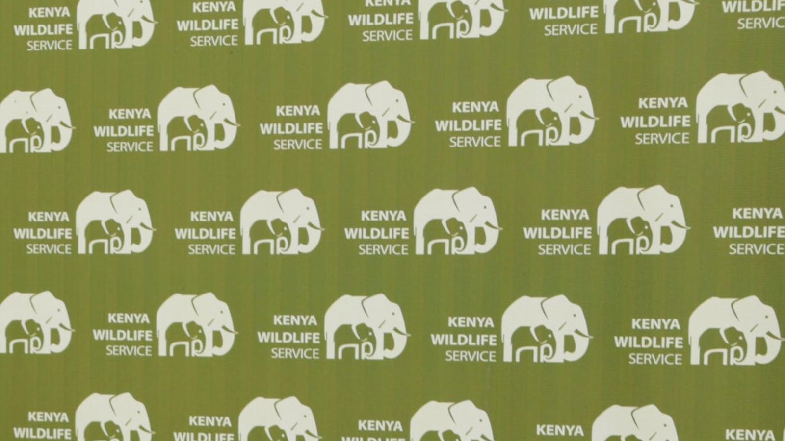 Kenyans protest after roaming elephants kill four people in a week