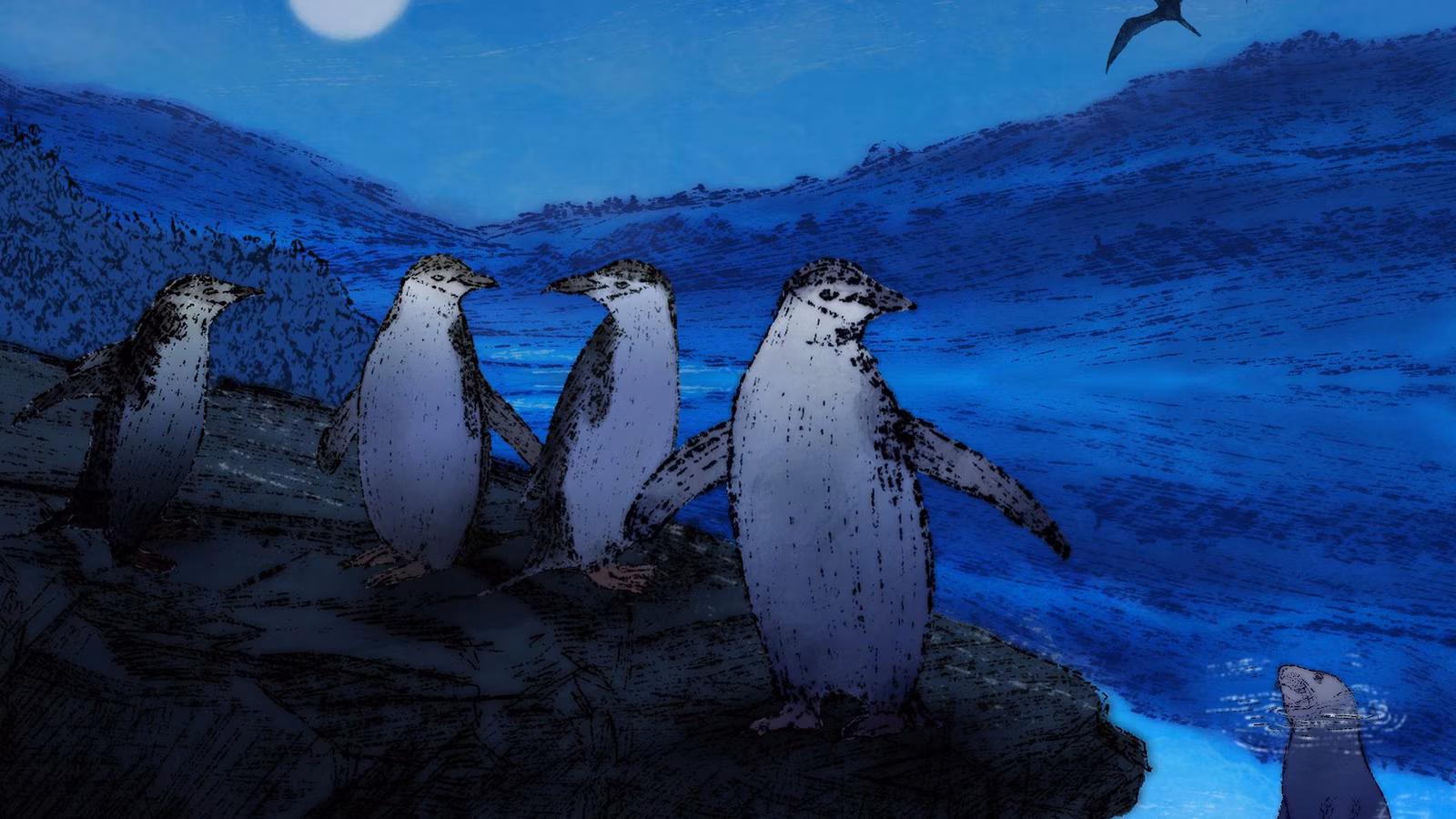 Some animals have evolved extreme ways to sleep in precarious environments