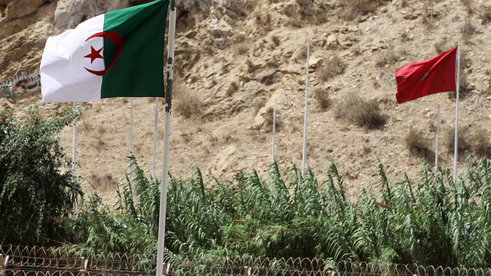 9 African migrants died in freezing temperatures near Morocco-Algeria border