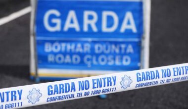 Young boy and woman (60) die in house fire in Co Offaly