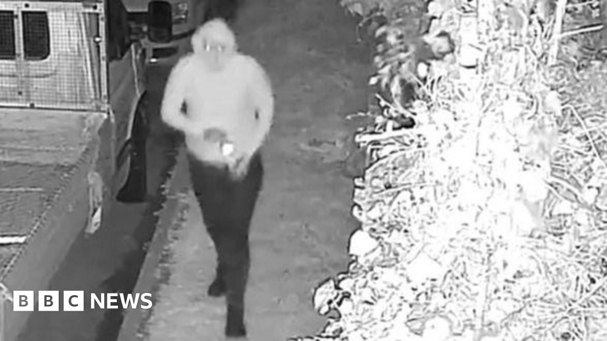 A black and white image. On the left is a van parked next to a grass verge. There is a person in a hoodie and trousers walking along the verge. On the right is a bush.