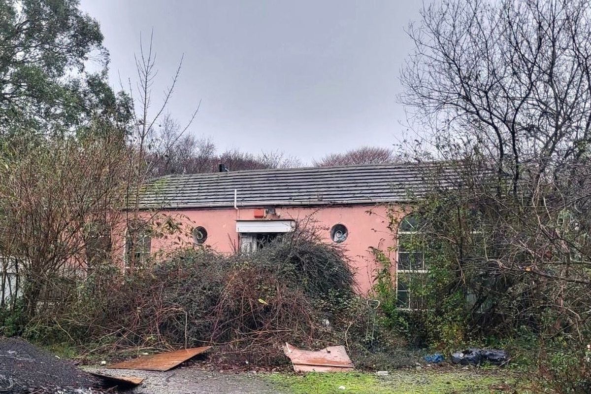 When Ryan and Jen viewed the property, it was partly obscured by trees and bushes 