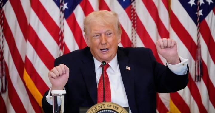 Carney still mulling ‘Board of Peace’ seat despite Trump’s invitation to Putin - National