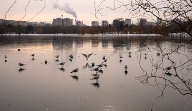 Flights diverted and trains delayed as freezing rain and ice hit central and eastern Europe
