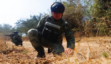 Trump says US to 'start now hitting land' in Mexico targeting drug cartels