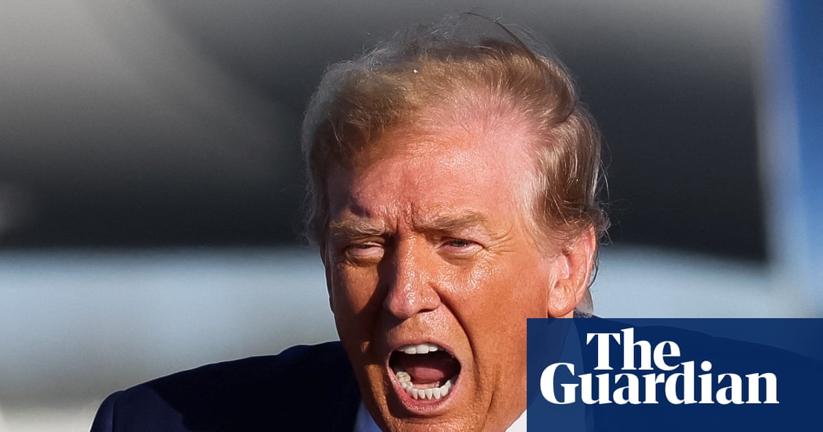 ‘You don’t want to live inside his head’: diplomats’ dilemma in the age of Trump | Donald Trump