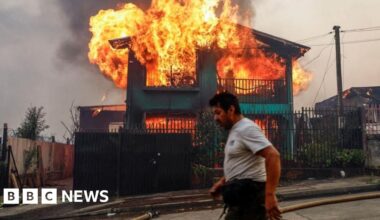 Deadly Chile fires trigger state of catastrophe in Ñuble and Biobío regions