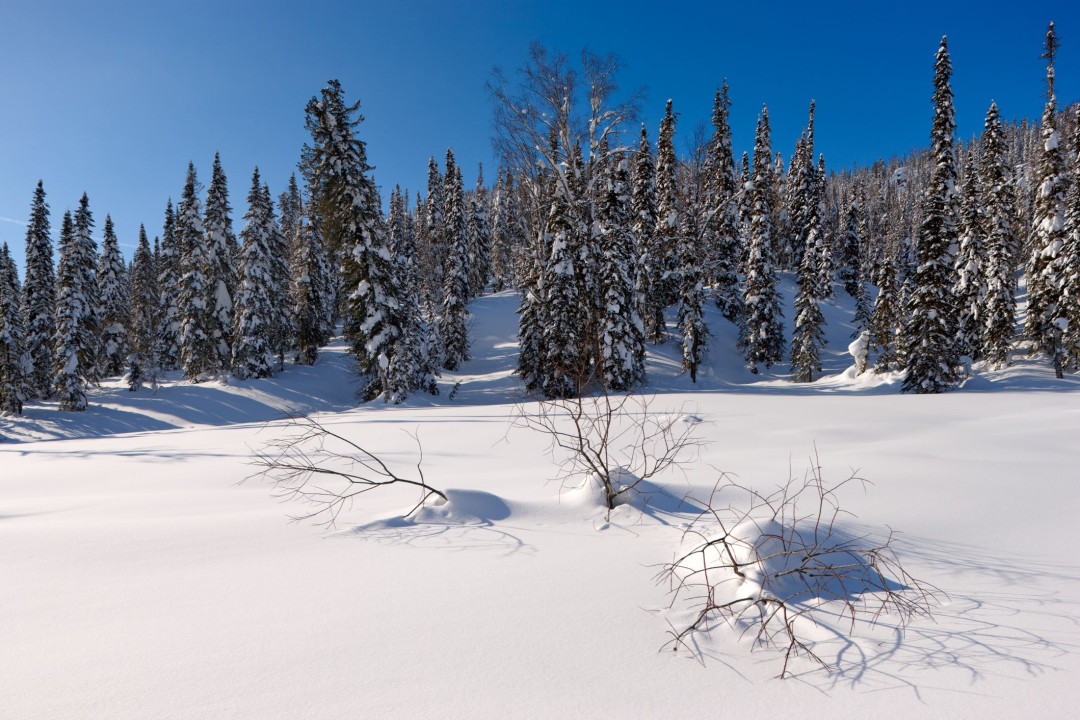 One of Russia's Last 'Old Believers' Still Lives in Siberia