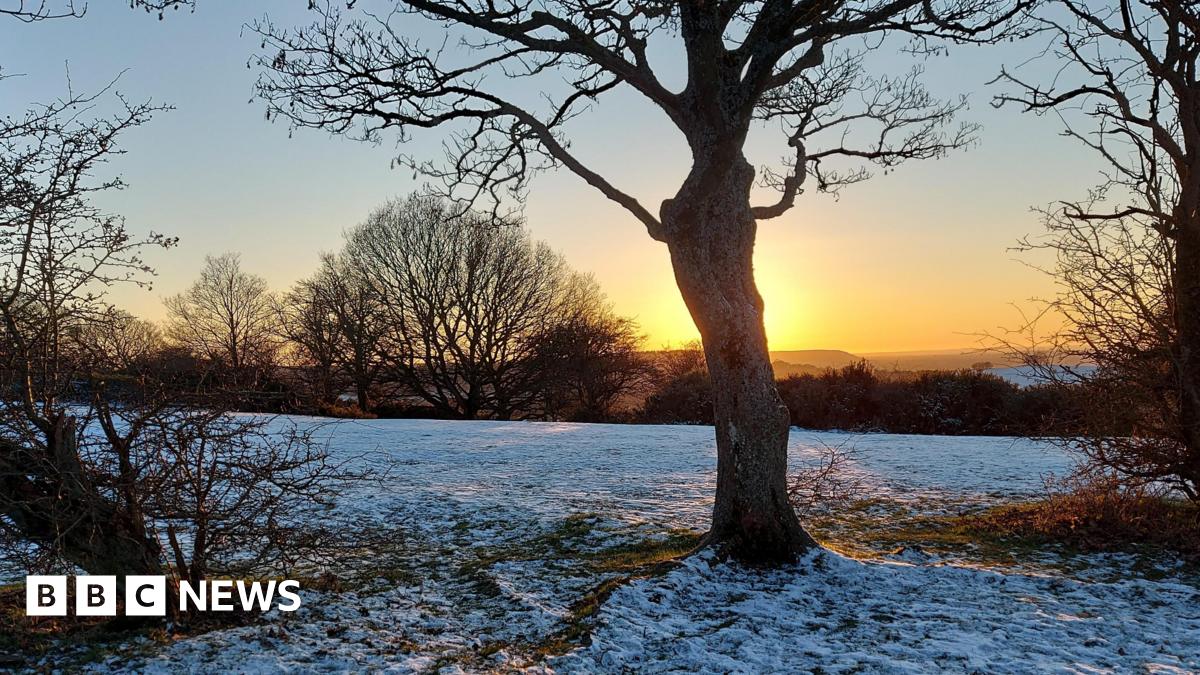 Sunrise with a tree silhouette and snow on the ground.