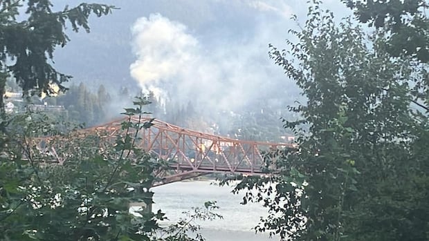 Man banned from Nelson, B.C., sentenced for arson during heat of 2024 wildfire season