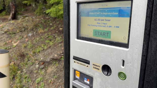 Credit card fraudster targets Whistler, B.C., with fake QR parking codes