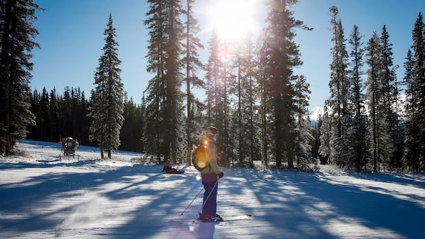 Death of skier who fell into snow in Banff, Alta., raises a danger of snow sports