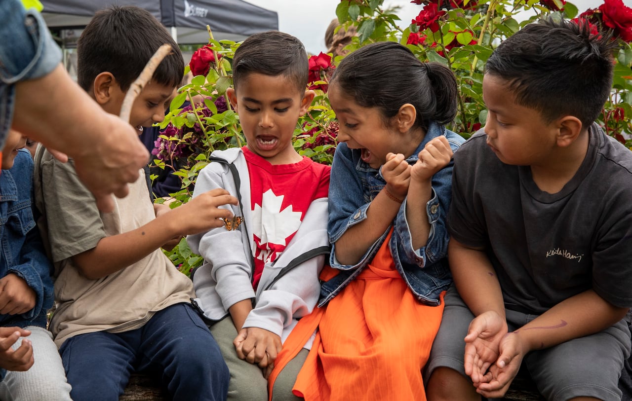 A group of kids scream as a butterfly lands on a boy while sitting in a garden.