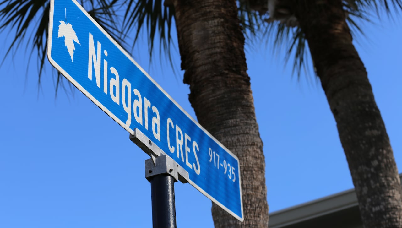 A blue street sign is seen against a backdrop of a palm tree.