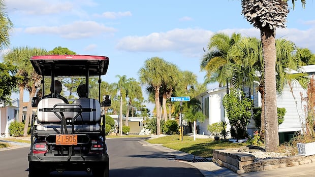 Some Canadian snowbirds still flying south amid tensions with U.S.