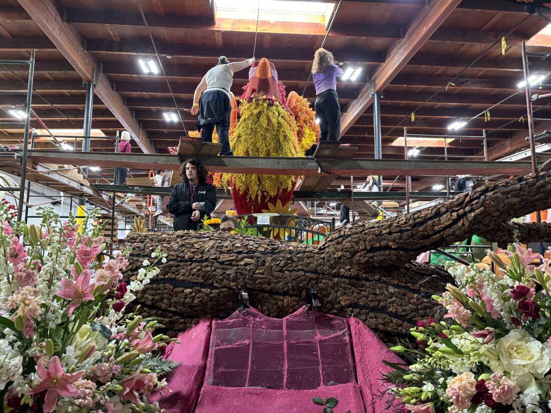 Volunteers work on the top of the "Rising Together" float's centerpiece phoenix, which symbolizes the community's recovery after last year's deadly Eaton and Palisades fires in Los Angeles. Every inch of the float must be decorated only with natural organic materials like bark, flowers, and seeds.