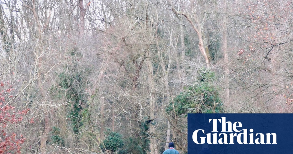 Snow and ice forecast for large parts of UK in new year cold snap | UK weather