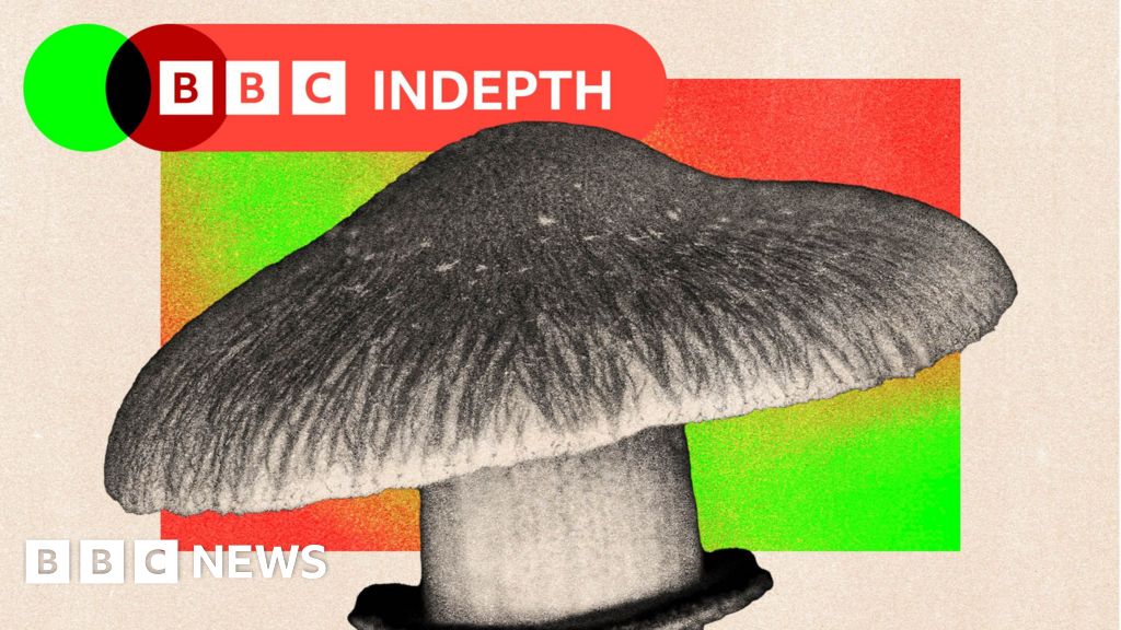 Should the NHS really use magic mushrooms to treat mental health?