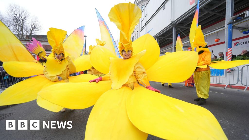 New Year's Day Parade brings colour to capital