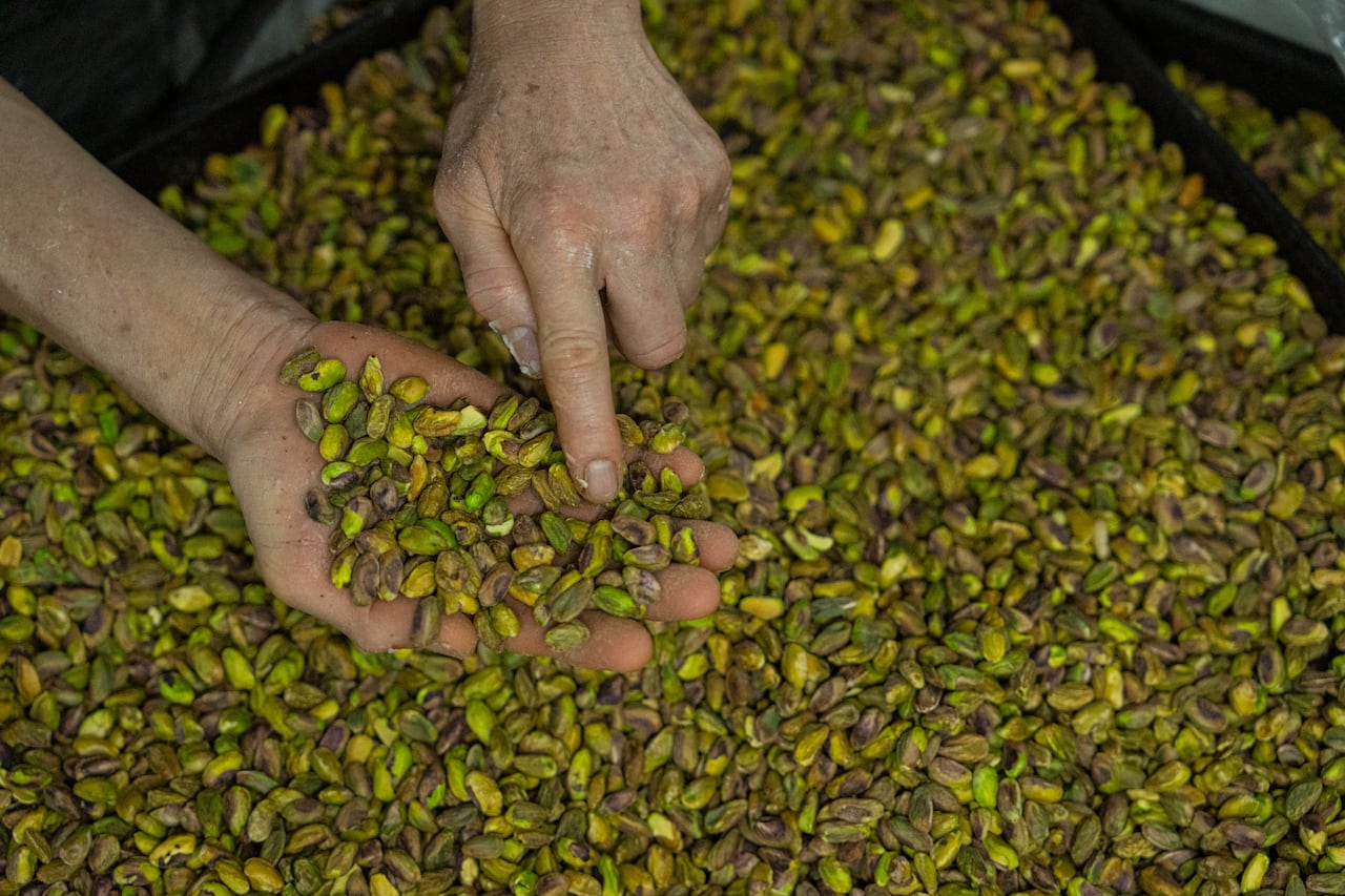 A person holds an handful of pistachios.