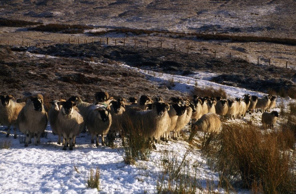 The Met Office said there was potential for up to 10cm of snow in higher areas like the Glenshane Pass.