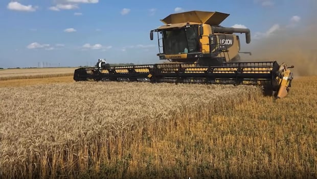 Southeast Manitoba farmers planning to seed more corn, less wheat in spring
