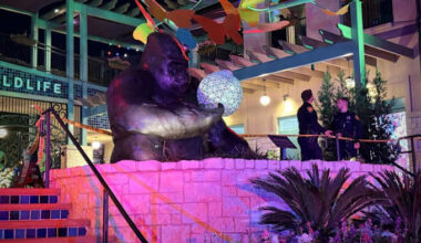 SAPD identifies suspect arrested in connection with stabbing at San Antonio Zoo