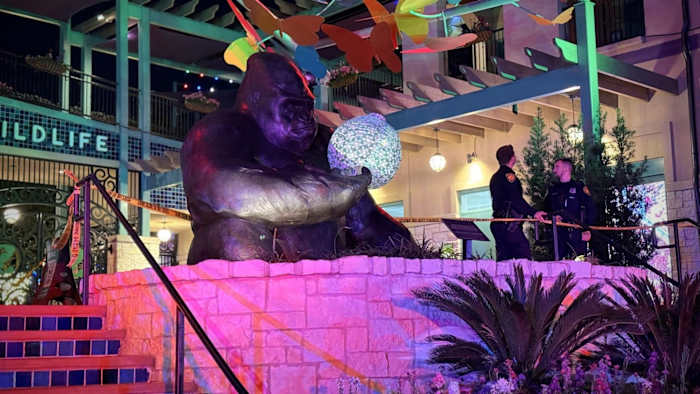 SAPD identifies suspect arrested in connection with stabbing at San Antonio Zoo