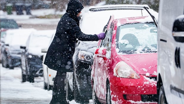 Snowfall warning in effect for Toronto: Environment Canada