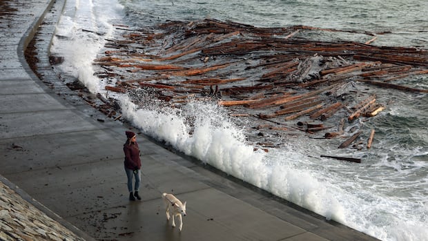 Environment Canada lifts coastal flooding bulletin for southern B.C.